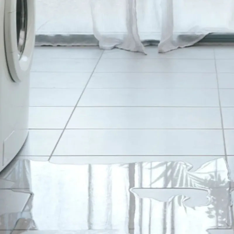 Appliance Leak Cleanup in Goodrich, MI