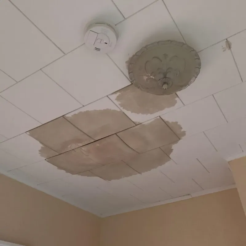 Ceiling Water Damage Repair in Goodrich, MI