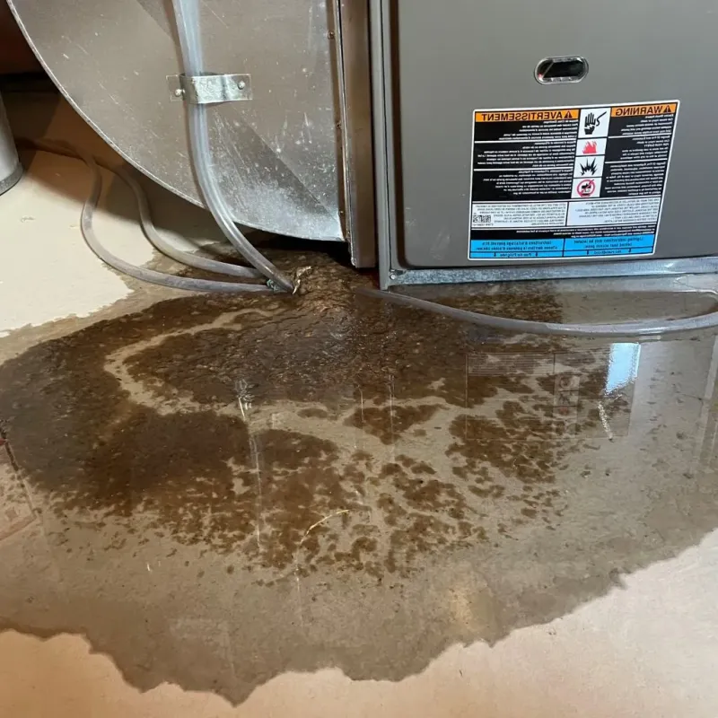 Pipe Burst and Leak Restoration in Goodrich, MI