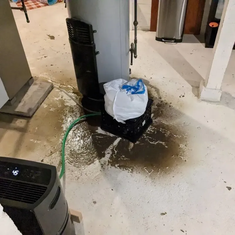 Sewage Backup Cleanup Service in Goodrich, MI